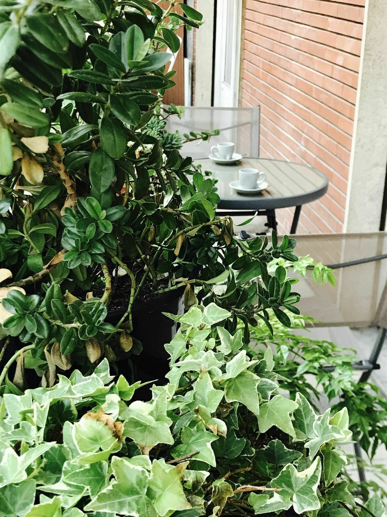 Pardis Guest House Rzym Zewnętrze zdjęcie